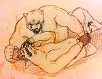  ballbusting bear canine cock_and_ball_torture crotch_grab grope male mammal mask nomifuki pain sketch wrestler wrestling 