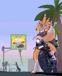  anthro bike_(disambiguation) digimon nintendo pikachu pok&eacute;mon renamon video_games 