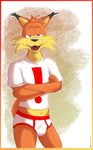  anthro bubsy bubsy_(series) bulge clothed clothing feline kcee lynx male mammal solo underwear video_games 