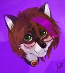  ambiguous_gender anthro canine collar eyewear fur glasses hair julicat looking_at_viewer mammal smile solo 