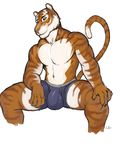  anthro bulge clothed clothing feline julicat looking_at_viewer male mammal smile solo spread_legs spreading tiger topless underwear 