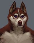  anthro canine dog fur husky julicat looking_at_viewer male mammal nude simple_background solo standing 