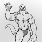  anthro bulge clothing julicat looking_at_viewer male mammal monochrome muscular mustelid otter sketch smile solo speedo swimsuit 