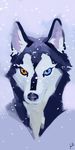  ambiguous_form ambiguous_gender canine dog fur heterochromia husky julicat looking_at_viewer mammal snow 
