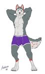  anthro asatrua bulge canine clothing dog husky invalid_tag male mammal underwear 