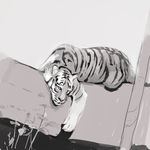  ambiguous_gender feline feral fur julicat lying mammal monochrome on_side sketch solo tiger 