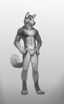  anthro bulge canine clothing julicat looking_at_viewer male mammal monochrome smile solo standing underwear 