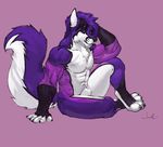  abs animal_genitalia anthro canine fox fur hair julicat looking_at_viewer male mammal muscular nude sheath simple_background sitting solo 