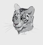 ambiguous_form ambiguous_gender feline julicat leopard looking_at_viewer mammal monochrome smile snow_leopard solo 