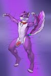 anthro balls canine collar erection fox humanoid_penis julicat looking_at_viewer male mammal nude penis smile solo vein 