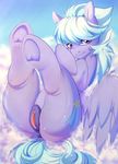  anus bitting_lip blue_hair clitoris cloud_chaser_(mlp) cutie_mark dock equine feathered_wings feathers female feral friendship_is_magic hair hooves mammal my_little_pony nude pegasus puple_fur purple_eyes pussy rainbowscreen rear_view solo teeth underhoof wings 