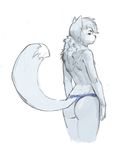  anthro butt canine clothing girly julicat looking_at_viewer looking_back male mammal nipples sketch solo standing underwear 