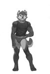  anthro bulge canine clothed clothing julicat looking_at_viewer male mammal monochrome muscular solo standing underwear 