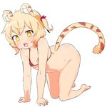  :o all_fours animal_ear_fluff animal_ears arched_back ass bangs bare_arms bare_shoulders barefoot bikini_top blonde_hair borrowed_character bottomless bright_pupils crossed_bangs done_(donezumi) eyebrows_visible_through_hair fingers full_body head_tilt looking_at_viewer one_side_up open_mouth original parted_bangs protected_link red_bikini_top roaring short_eyebrows short_hair simple_background slit_pupils soles solo string_bikini_top sweat swimsuit tail thick_eyebrows tiger_ears tiger_girl tiger_tail toramimi-senpai white_background yellow_eyes 