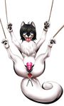  anus bdsm bondage bound canine dog eyewear feral gaping gaping_anus glasses husky mammal penetration servo spacascaleno speculum toy vaginal vaginal_penetration 