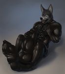  canine clothing hyper latex_(artist) male mammal rubber suit 