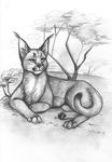  ambiguous_gender caracal feline feral fur mammal monochrome smile snowyzi solo traditional_media_(artwork) tree whiskers 