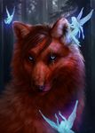  blue_eyes canine day detailed_background fairy feral forest fur hair looking_at_viewer mammal outside red_fur red_hair red_nose scar solo tree wolf wolnir 