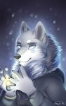 anthro canine clothed clothing ear_piercing fur looking_at_viewer male mammal piercing smile snowyzi solo 