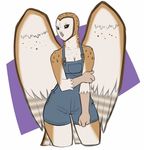  anthro avian beak bird faint feathered_wings feathers female owl shy slightly_chubby solo standing wide_hips wings 