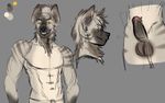  2016 anthro balls colored_sketch digital_media_(artwork) fan_character grin hard_cock hi_res hyena mammal manga_studio model_sheet muscular neck_tuft penis piercing septum shit_eating_grin standing strawberrycucumber striped_hyena tuft tunnels 