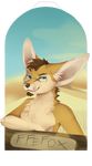 anthro canine desert eyewear facial_hair fennec fox glasses goatee looking_at_viewer male mammal nude outside smile snowyzi solo tongue tongue_out 