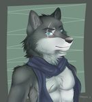  anthro canine fur looking_at_viewer male mammal scar scarf simple_background snowyzi solo 