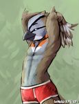  2017 anthro avian bird boxers_(clothing) clothing digital_media_(artwork) iron_artist male simple_background siriuswolfus smile solo underwear 