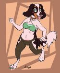anthro bird_dog blush bottomwear bra breasts breath canid canine canis cavalier_king_charles_spaniel chubby_female claws cleavage clothed clothing collar domestic_dog dregadude female hi_res hunting_dog looking_at_viewer mammal navel no_underwear panting pants short_stack side_boob slightly_chubby solo spaniel tail tongue tongue_out toy_dog underwear