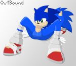 69_position anthro blue_body blush bodily_fluids cum cum_in_mouth cum_inside duo erection eulipotyphlan genital_fluids green_eyes hedgehog male male/male mammal oral oral_penetration outbound penetration sega selfcest sex sonic_boom sonic_the_hedgehog sonic_the_hedgehog_(series) square_crossover