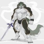 abs anthro ariyakonsuay biceps big_muscles big_tail canid canine canis clothed clothing digital_media_(artwork) fur hair hi_res holding_object holding_weapon link_(wolf_form) male mammal melee_weapon muscular muscular_anthro muscular_male nintendo nipples simple_background solo sword tail the_legend_of_zelda twilight_princess underwear weapon wolf