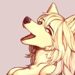 1:1 2023 anthro canid canine canis digital_drawing_(artwork) digital_media_(artwork) female fur hair hi_res long_hair mammal nude nude_anthro nude_female portrait red_eyes runelocks simple_background solo solo_focus teeth_showing wolf yellow_body yellow_fur