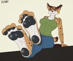  2017 4_toes anthro black_nose blue_eyes clothed clothing ear_piercing feet feline female foot_fetish foot_focus fur furinkazan jeans lynx mammal miyu_lynx multicolored_fur nintendo pants pawpads paws piercing shirt sitting solo spots star_fox tank_top toes video_games 