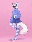 2024 anthro biped black_nose blue_bottomwear blue_clothing blue_hoodie blue_inner_ear blue_legwear blue_skirt blue_thigh_highs blue_topwear bottomwear canid canine canis clothed clothing cropped_hoodie fleurfurr fur girly hair hi_res hoodie inner_ear_fluff legwear male mammal miniskirt monotone_body monotone_ears monotone_fur monotone_hair monotone_tail neck_tuft open_mouth orange_eyes pattern_clothing pattern_legwear pattern_thigh_highs pink_background simple_background skirt solo striped_clothing striped_legwear striped_thigh_highs stripes tail thigh_highs toeless_legwear topwear tuft watermark white_body white_ears white_fur white_hair white_tail wolf