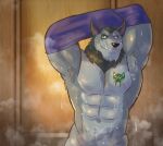 albertmg33_(artist) anthro armpit_tuft blizzard_entertainment bodily_fluids canid canine canis clothing fan_character hi_res looking_at_viewer male mammal maximal_insignia muscular sauna scar sweat undressing warcraft were werecanid werecanine werewolf wolf worgen