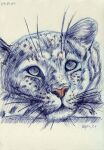 felid leopard mammal pantherine pen sketch sketchy
