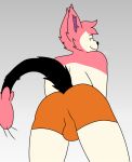 2023 anthro backsack balls black_nose bulge butt clothed clothing digital_drawing_(artwork) digital_media_(artwork) fan_character fur generation_3_pokemon genitals hi_res jspwnco looking_at_viewer low-angle_view male mammal nintendo pink_body pink_fur pokemon pokemon_(species) portrait raymond_(jspwnco) signature simple_background skitty smile solo tail underwear