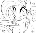  2017 black_and_white cutie_mark duo equine eyelashes feathered_wings feathers female feral fluttershy_(mlp) friendship_is_magic hair long_hair macro mammal monochrome my_little_pony pegasus rainbow_dash_(mlp) smile tsitra360 wings 