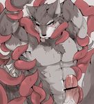  abs anthro blush canine licking male mammal muscular oral penis tach8 tentacles tongue tongue_out wolf 