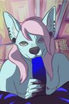  2017 animated anthro black_skin blue_fur blue_penis blue_skin blue_stripes breasts brown_eyes canine chihuahua dog duo ear_piercing faceless_male fellatio female first_person_view fur glans green_eyes hair interspecies jeanwoof long_hair male male/female male_pov mammal nails oral penis penis_grab piercing pink_hair sex shaded stripes 