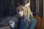  anthro canine clothed clothing facial_piercing female headphones horn inside mammal nose_piercing piercing raining sitting solo tsukinori 