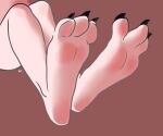 3_toes ambiguous_gender anthro close-up feet foot_focus hi_res hxcfoxy mammal murid murine oma(hxcfoxy) paws plantigrade rat rodent solo toes