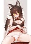  1girl animal_ears bare_shoulders blush breasts brown_hair cleavage clothes_lift dated fox_ears fox_girl green_eyes hair_intakes highres honkai:_star_rail honkai_(series) large_breasts legs_apart lifted_by_self long_hair looking_at_viewer navel no_pants panties panty_pull pussy_juice red_shirt ricky_rainier shirt shirt_lift sleeveless sleeveless_shirt solo stomach sweatdrop thighs tingyun_(honkai:_star_rail) underwear white_panties 