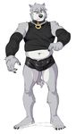  2016 anthro belly black_clothing black_eyes black_nose canine clothed clothing collar digital_media_(artwork) erection fur grey_fur hi_res male mammal simple_background solo standing tight_clothing toomanyboners white_background wolf wolfalon 