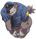  2014 anthro black_nose canine clothed clothing digital_media_(artwork) fur looking_at_viewer male mammal necktie open_mouth penis police police_officer police_uniform simple_background solo teeth toomanyboners underwear undressing uniform white_background 
