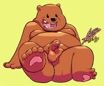  balls bear cartoon_network grizzly_(character) grizzly_bear keichi_barhazard male mammal overweight penis solo we_bare_bears 