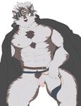  anthro canine horkeukamui hyper male mammal muscular muscular_male penis simple_background solo tokyo_afterschool_summoners wolf 