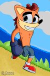 absurd_res activision anthro bandicoot beach blue_bottomwear blue_clothing blue_pants bottomwear boxing_gloves clash_of_the_titans clothing cloud crash_bandicoot crash_bandicoot_(series) eyebrows fur g_bunn gesture gloves green_eyes hand_gesture handwear hi_res invalid_background male mammal marsupial orange_body orange_fur pants smile solo thumbs_up yellow_body yellow_fur