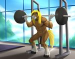  2017 abs anthro balls barbell biceps clothing equine exercise gloves gym hair horse male mammal mane marsel-defender muscular muscular_male nude pecs penis solo weightlifting workout 