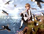  animal bird blurry brown_eyes brown_hair cliff commentary day dress iceland looking_at_viewer low_twintails ocean original outdoors pantyhose puffin sky smile tan_(tangent) traditional_clothes twintails white_legwear 